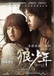 狼少年在线观看免费,穿越时空的守护者，免费在线观看之旅  第2张